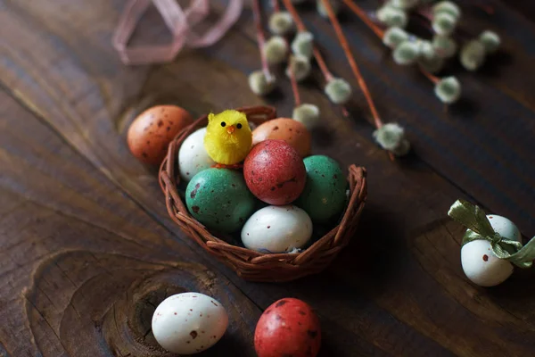 Oeufs de Pâques dans un panier et saule chatte — Photo