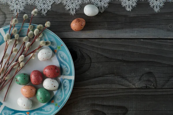Ovos de Páscoa coloridos e salgueiro buceta, conceito de férias de primavera — Fotografia de Stock