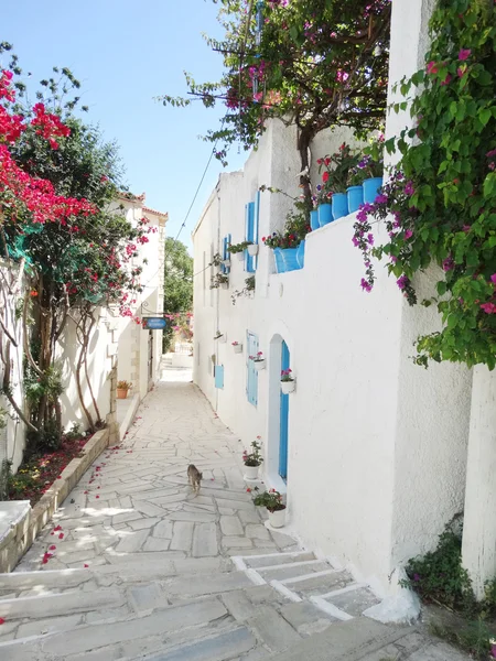 Traditional street among bougainvillaea in rethymno city Greece — Stock Photo, Image