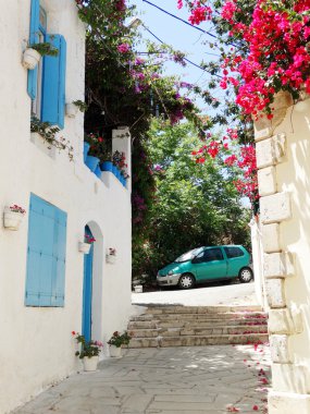 bougainvillaea rethymno City Yunanistan arasında geleneksel sokak 