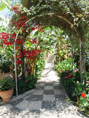 balkon ve Teras santorini Yunanistan bina Bahçe otel