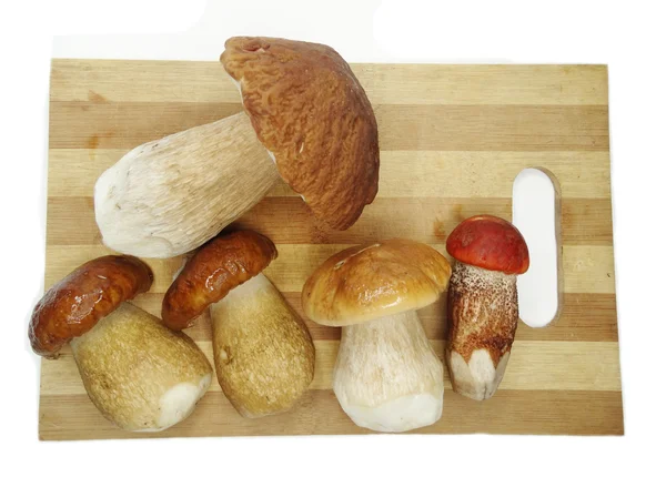 Fresh mushrooms on cutting board — Stock Photo, Image