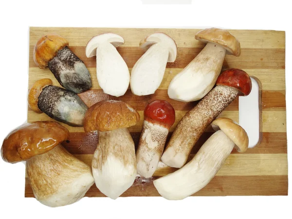 Свежие грибы на разделочной доске — стоковое фото