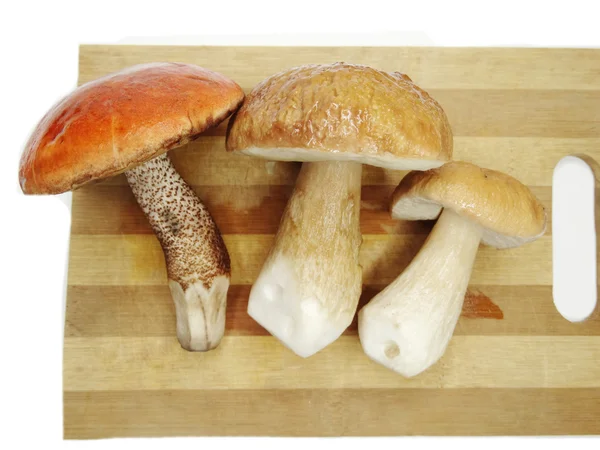 커팅 보드에 신선한 버섯 — 스톡 사진