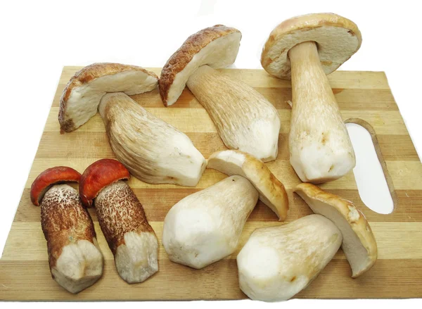 Fresh mushrooms on cutting board — Stock Photo, Image