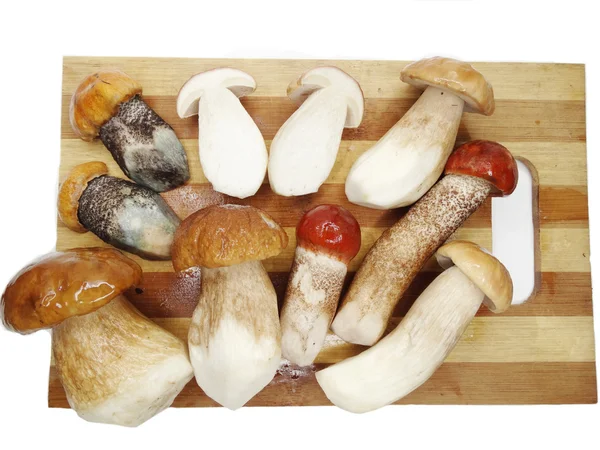 Свежие грибы на разделочной доске — стоковое фото