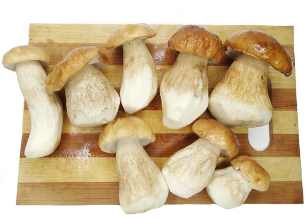 Fresh mushrooms on cutting board — Stock Photo, Image