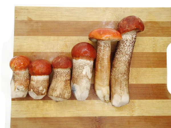 Cogumelos frescos na tábua de corte — Fotografia de Stock