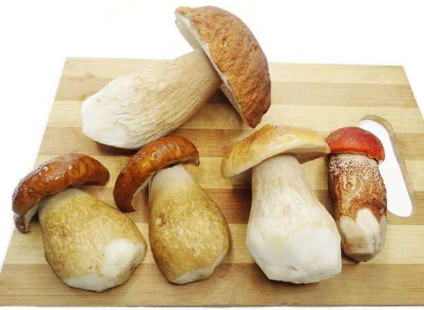 Verse champignons op snijplank — Stockfoto