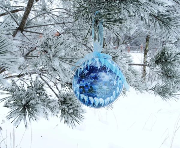 圣诞装饰组成对杉木背景 — 图库照片