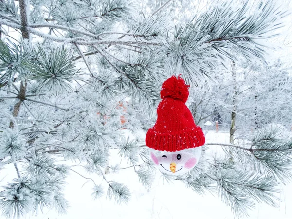 Composition décoration de Noël sur fond de sapin — Photo