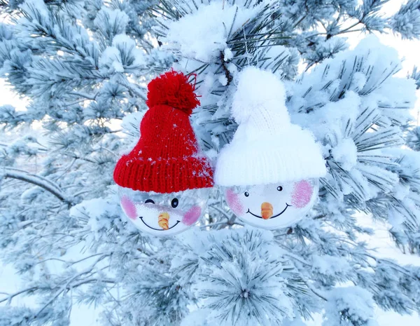 Composition décoration de Noël sur fond de sapin — Photo