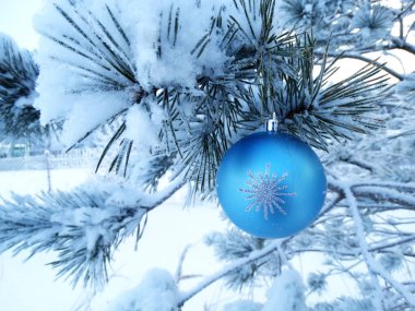 köknar arka plan christmas dekorasyon kompozisyonu