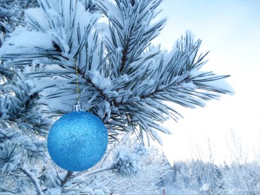 köknar arka plan christmas dekorasyon kompozisyonu