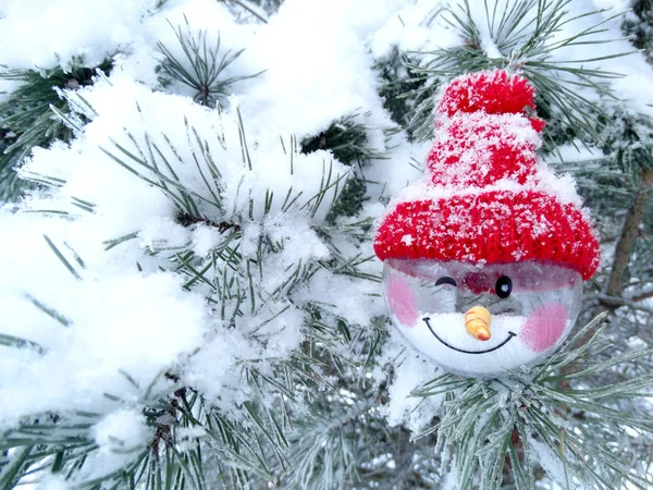 Composition décoration de Noël sur fond de sapin — Photo