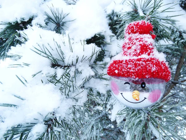 Composition décoration de Noël sur fond de sapin — Photo