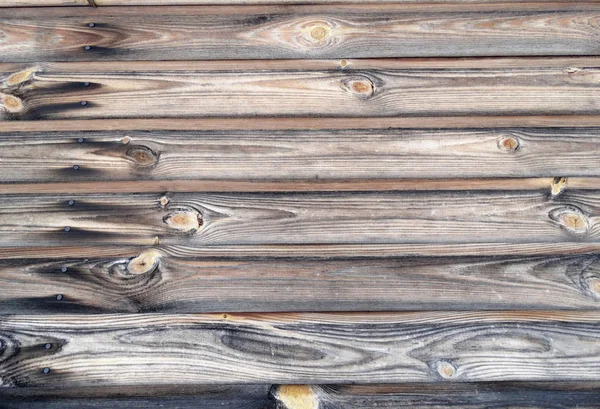 ahşap desen doku arka plan kurulu