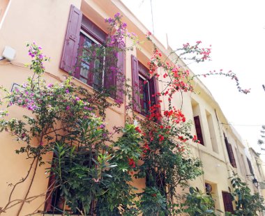 geleneksel sokak amoung bougainvillaea Yunanistan 