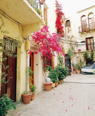geleneksel sokak amoung bougainvillaea Yunanistan 