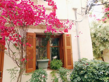 parlak bougainvillaea Yunanistan ile geleneksel sokak 
