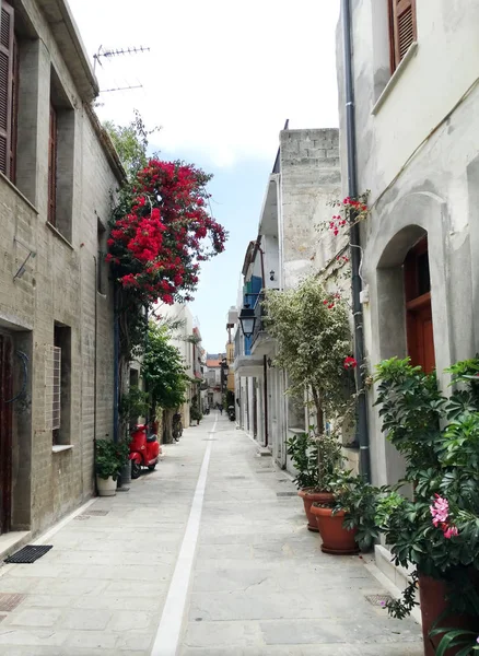 Traditionella gatan amoung bougainvillaea i Grekland — Stockfoto