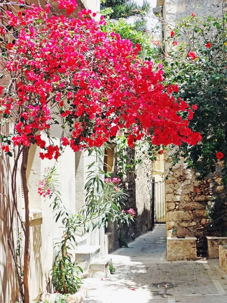 그리스에 밝은 비 전통적인 거리 — 스톡 사진