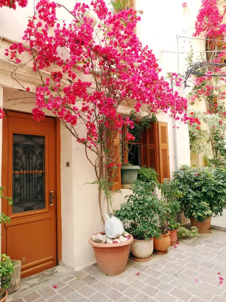 Bougainvillaea tradycyjne wśród ulica w Grecji — Zdjęcie stockowe