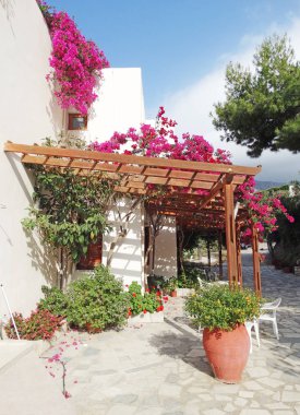 bougainvillaea Yunanistan ile geleneksel Teras