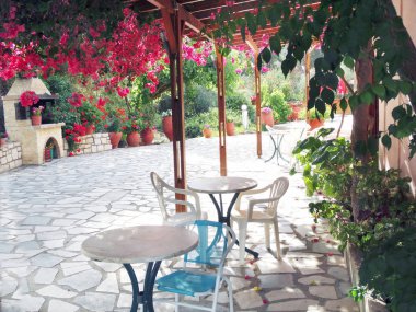 bougainvillaea Yunanistan ile geleneksel Teras