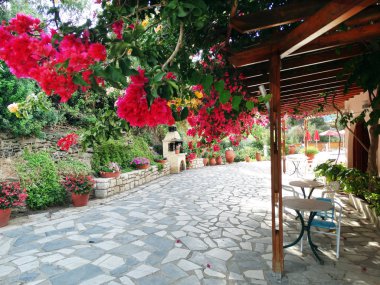 geleneksel sokak amoung bougainvillaea Yunanistan 