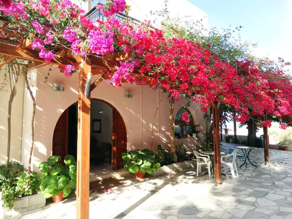 Terrazza tradizionale con bouganvillaea in Grecia — Foto Stock