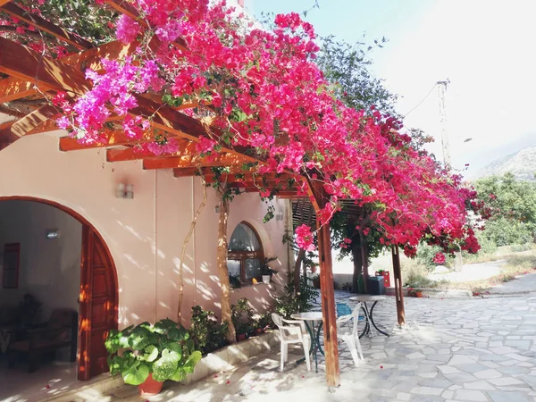 Traditionelle terrasse mit bougainvillaea in griechenland — Stockfoto