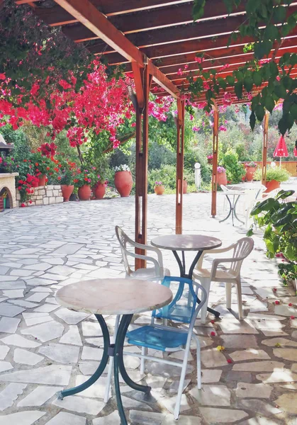 Traditional terrace with bougainvillaea in Greece — Stock Photo, Image