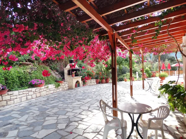 Terrazza tradizionale con bouganvillaea in Grecia — Foto Stock
