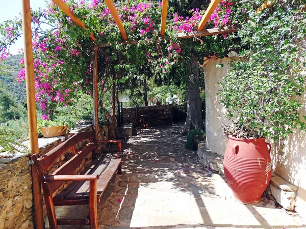 Traditional street among bougainvillaea in Greece — Stock Photo, Image