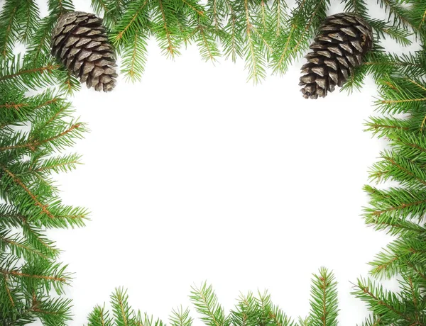 Cadre de décoration de Noël avec branches et cônes de sapin — Photo