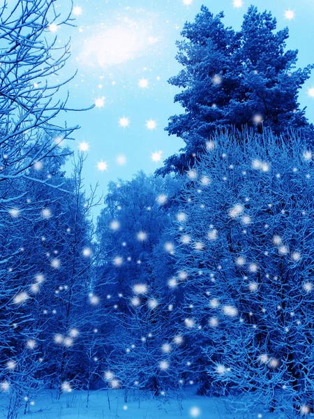 Winterlandschaft Wald im Schnee Frost — Stockfoto