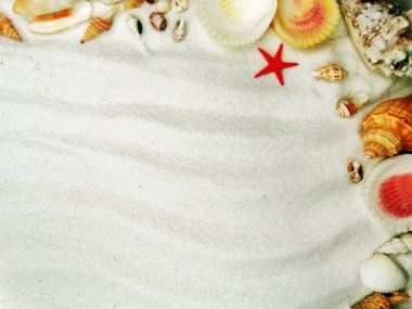 yaz plaj arka plan deniz kabukları üzerinde kum plaj