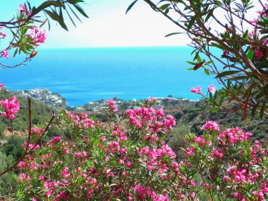 plaj ve sahil deniz Girit Adası Yunanistan manzara