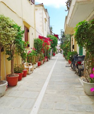 parlak Begonvil Yunanistan ile geleneksel sokak 