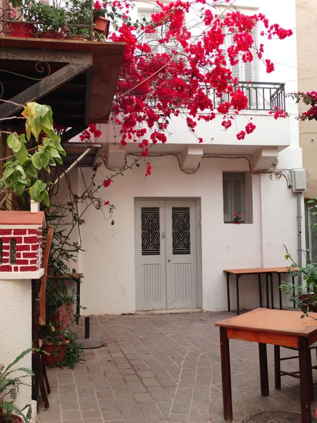 Traditionelle Straße mit hellen Bougainvillea in Griechenland — Stockfoto