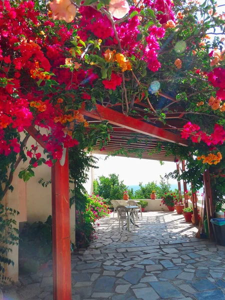 Terrazza tradizionale con bouganville luminose in Grecia — Foto Stock