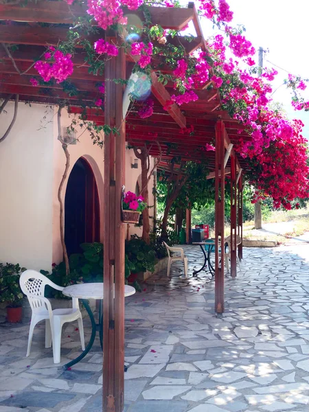 Traditionele terras met heldere bougainvillea in Griekenland — Stockfoto