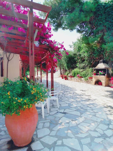 Traditionelle terrasse mit hellen bougainvillea in griechenland — Stockfoto