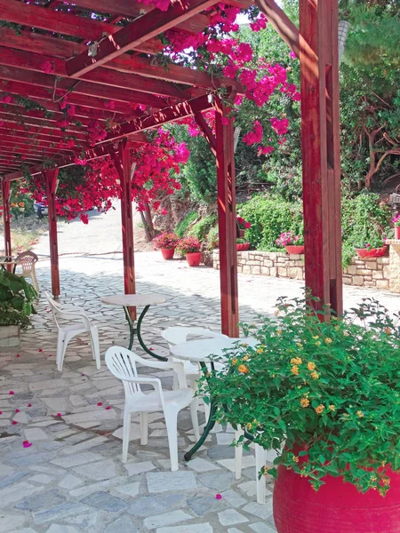 Traditionelle terrasse mit hellen bougainvillea in griechenland — Stockfoto