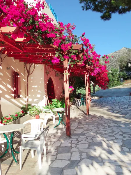 Traditionele terras met heldere bougainvillea in Griekenland — Stockfoto