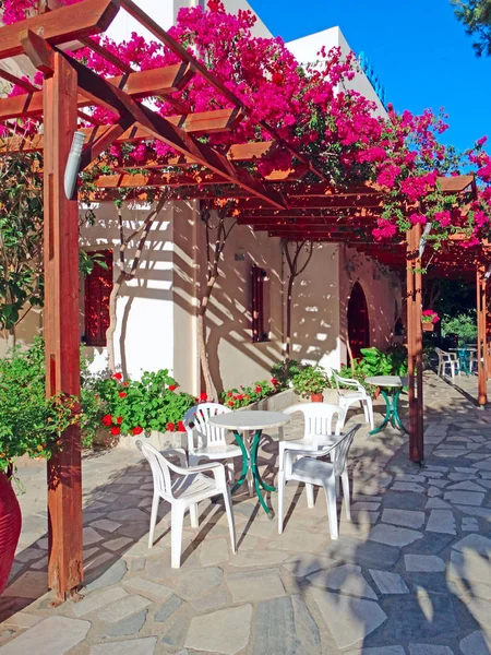 Traditionelle terrasse mit hellen bougainvillea in griechenland — Stockfoto