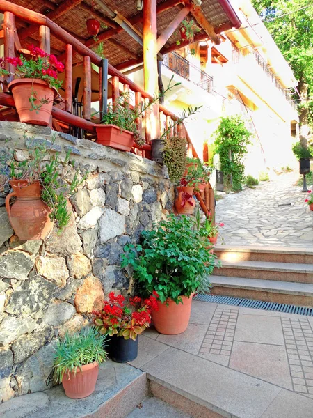Tradiční terasa s světlé popínavé rostliny v Řecku — Stock fotografie