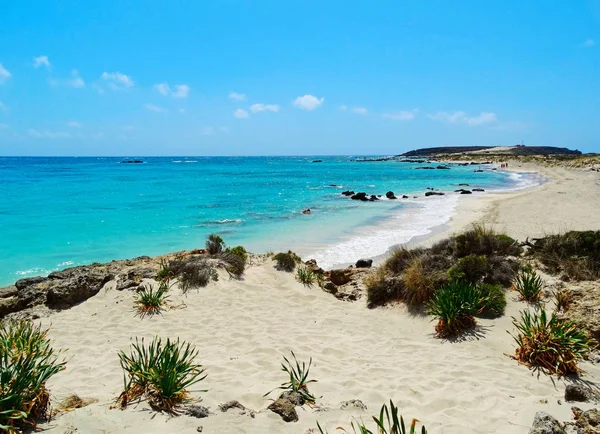 Beach with pink sand landscape sea Crete island Greece — Stock Photo, Image