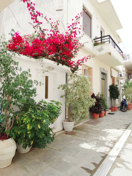 Calle tradicional con buganvillas brillantes en Grecia — Foto de Stock